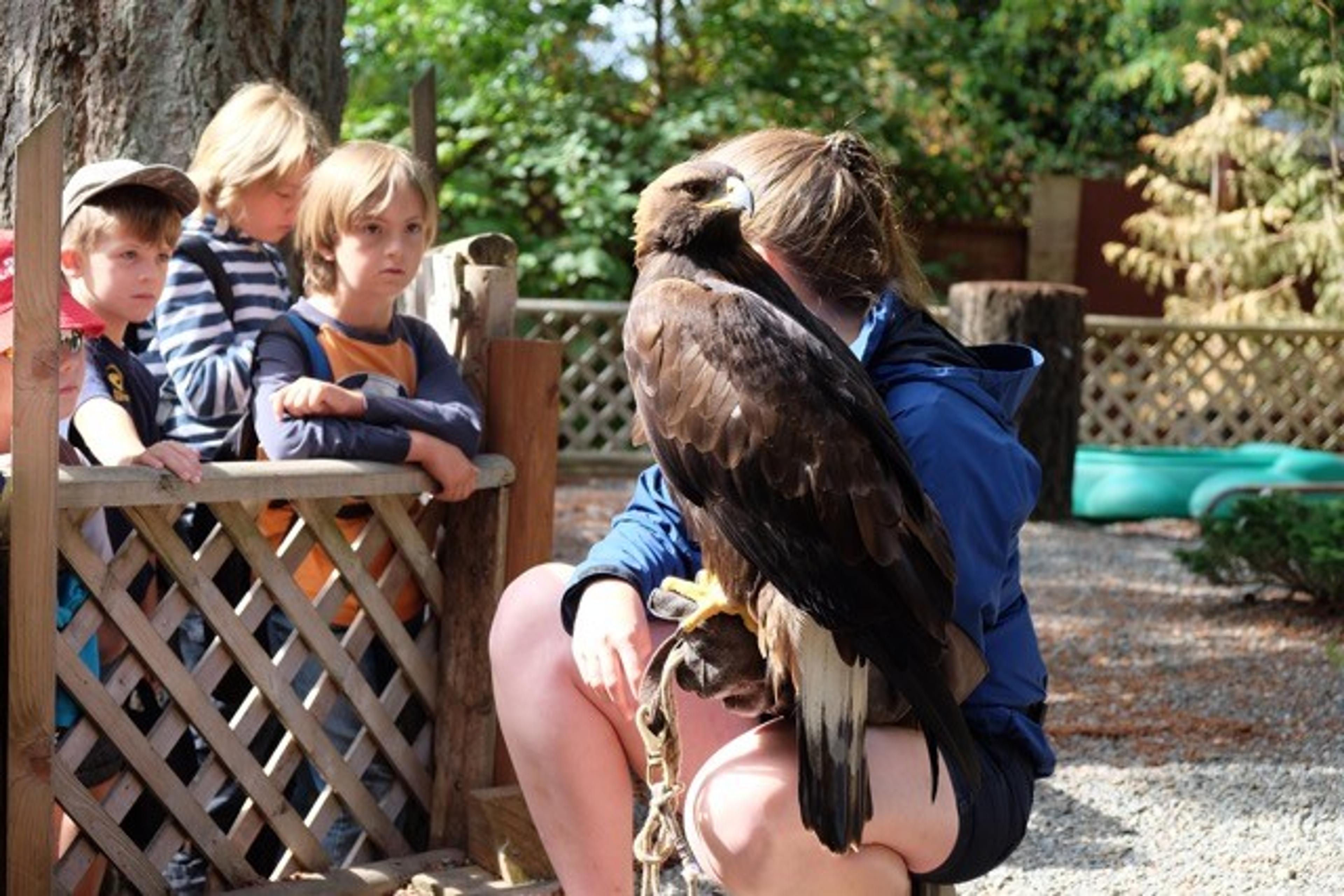 photo representing organization