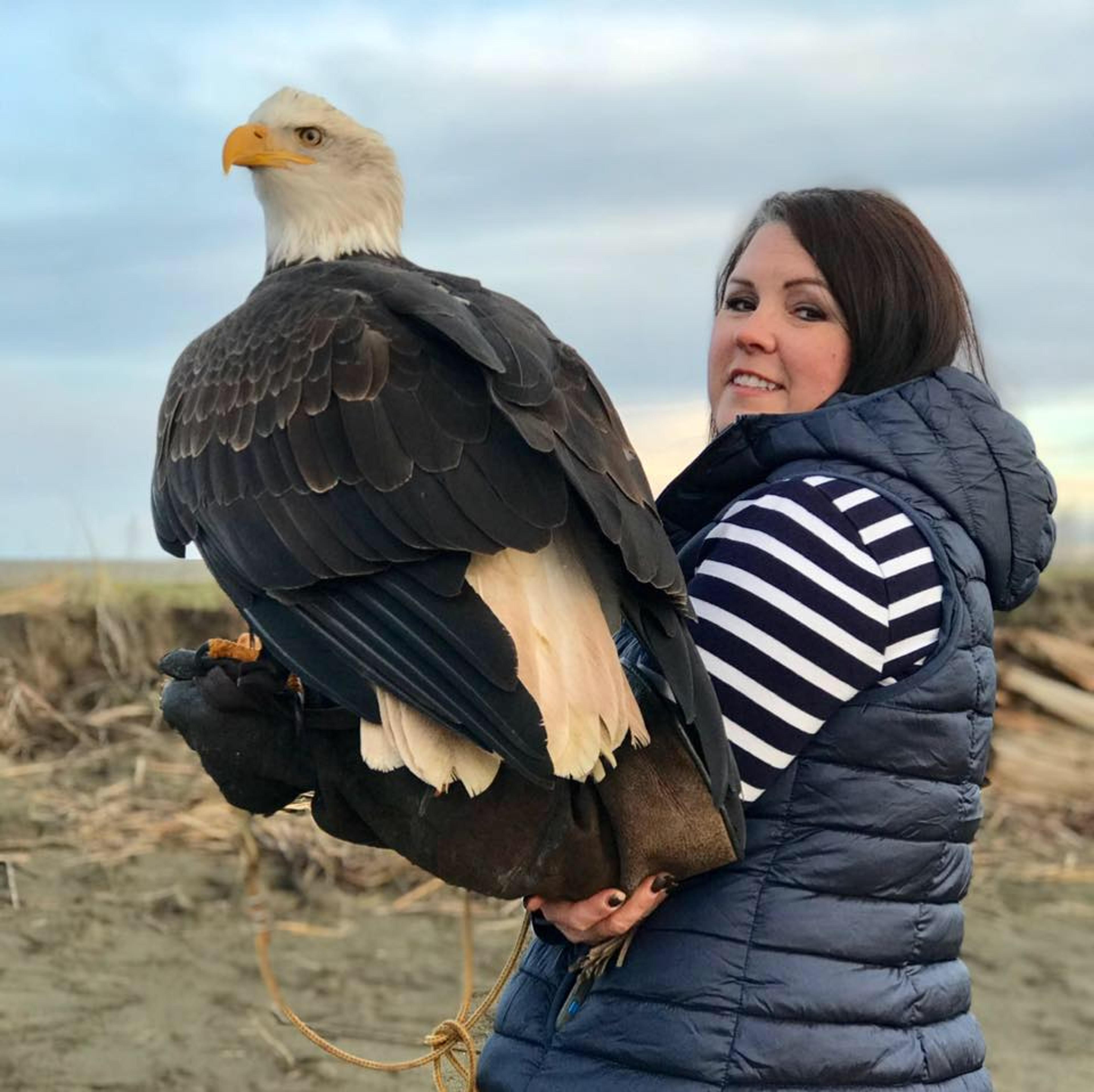 Woman stands with a bald eagle on her glove