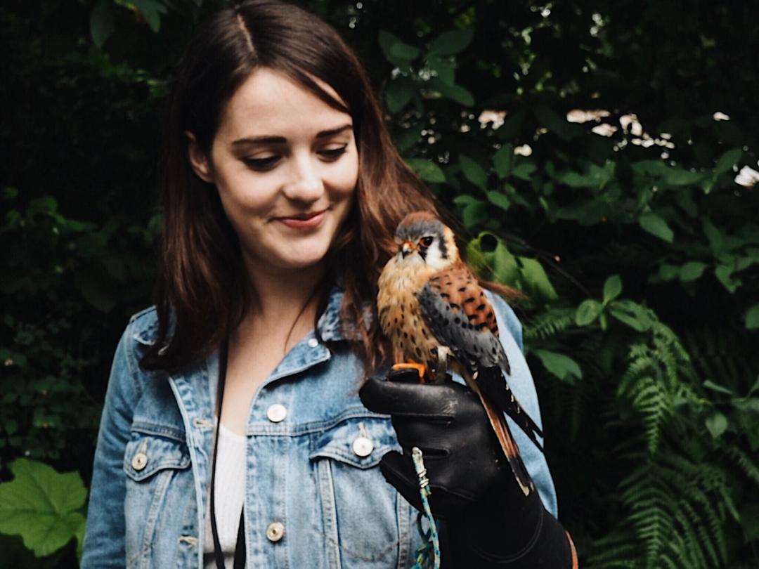 Admission & Experiences | The Raptors