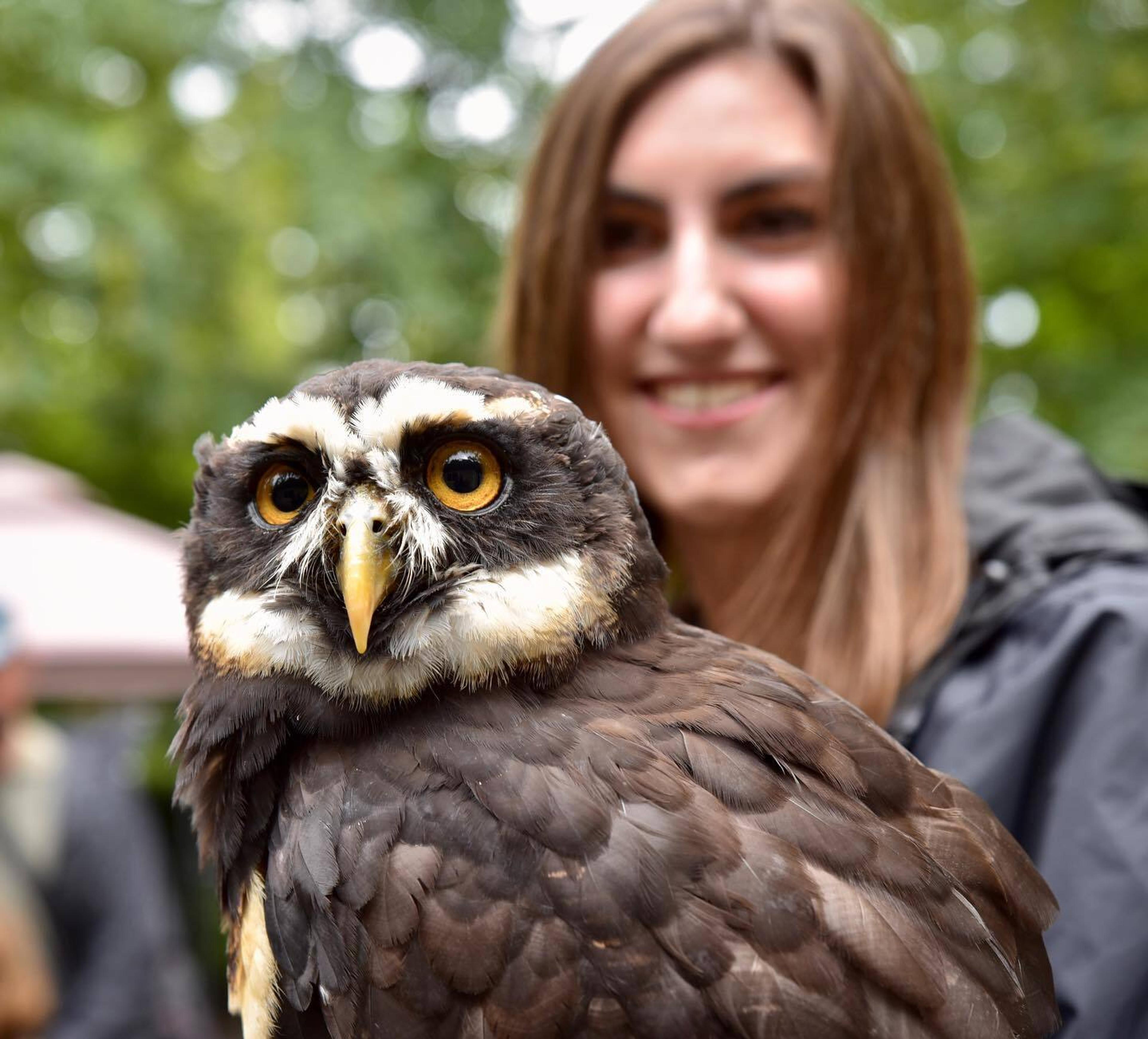 Image of. awoman with an owl on her glove