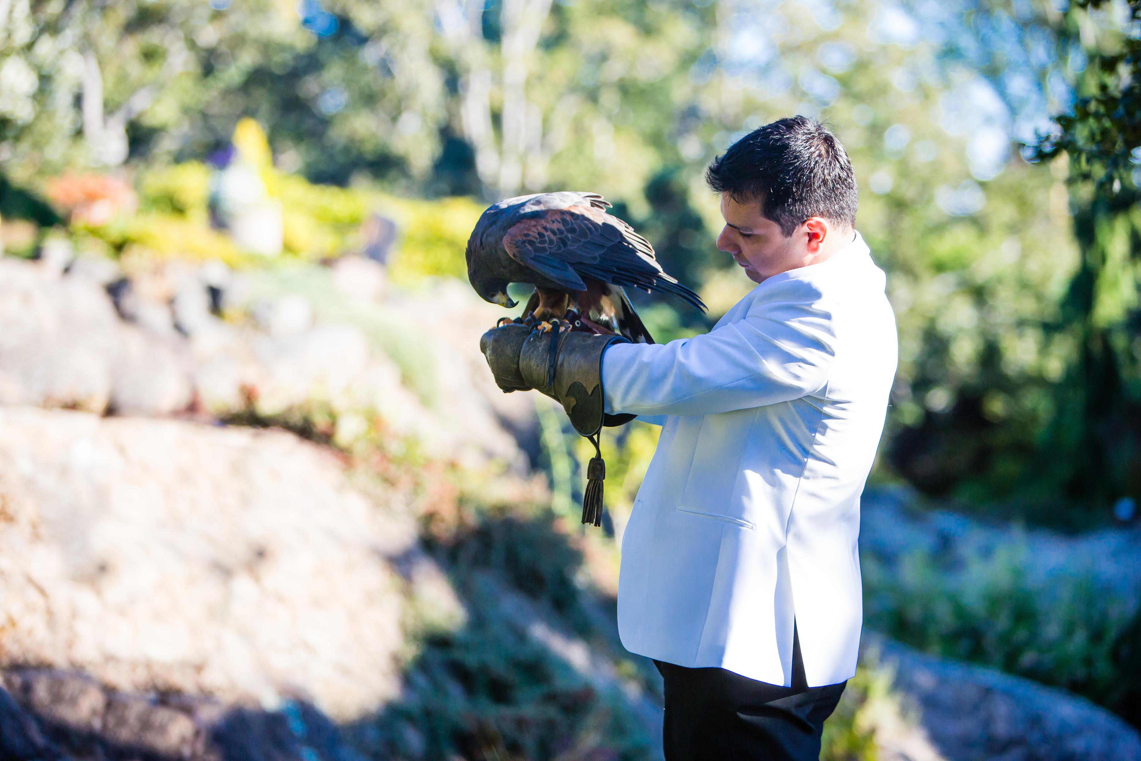 Woman in a wedding dress collects ring s from a hawk