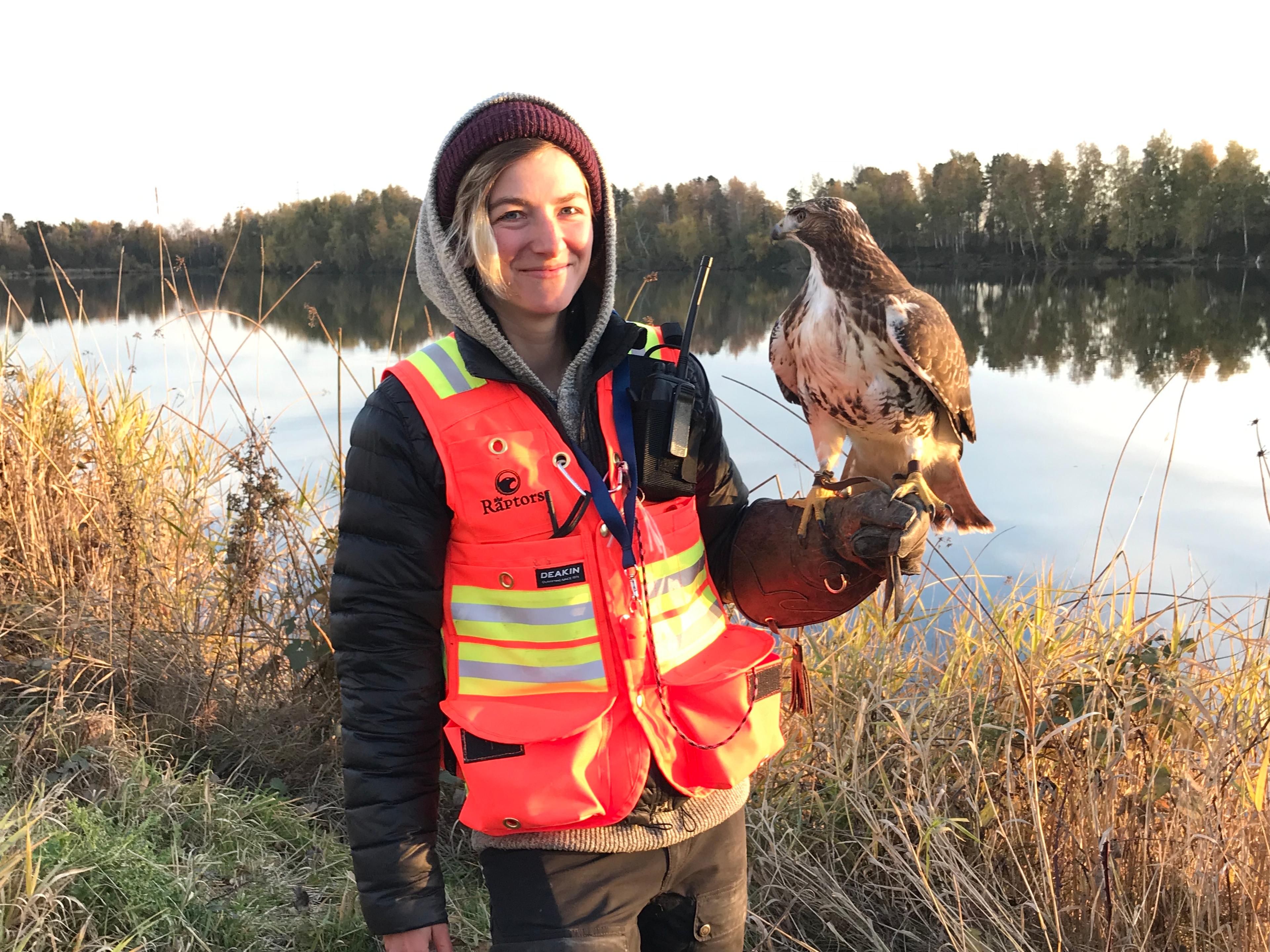 Raptors employee stands in front of a lake with a red-tailed hawk on her glove