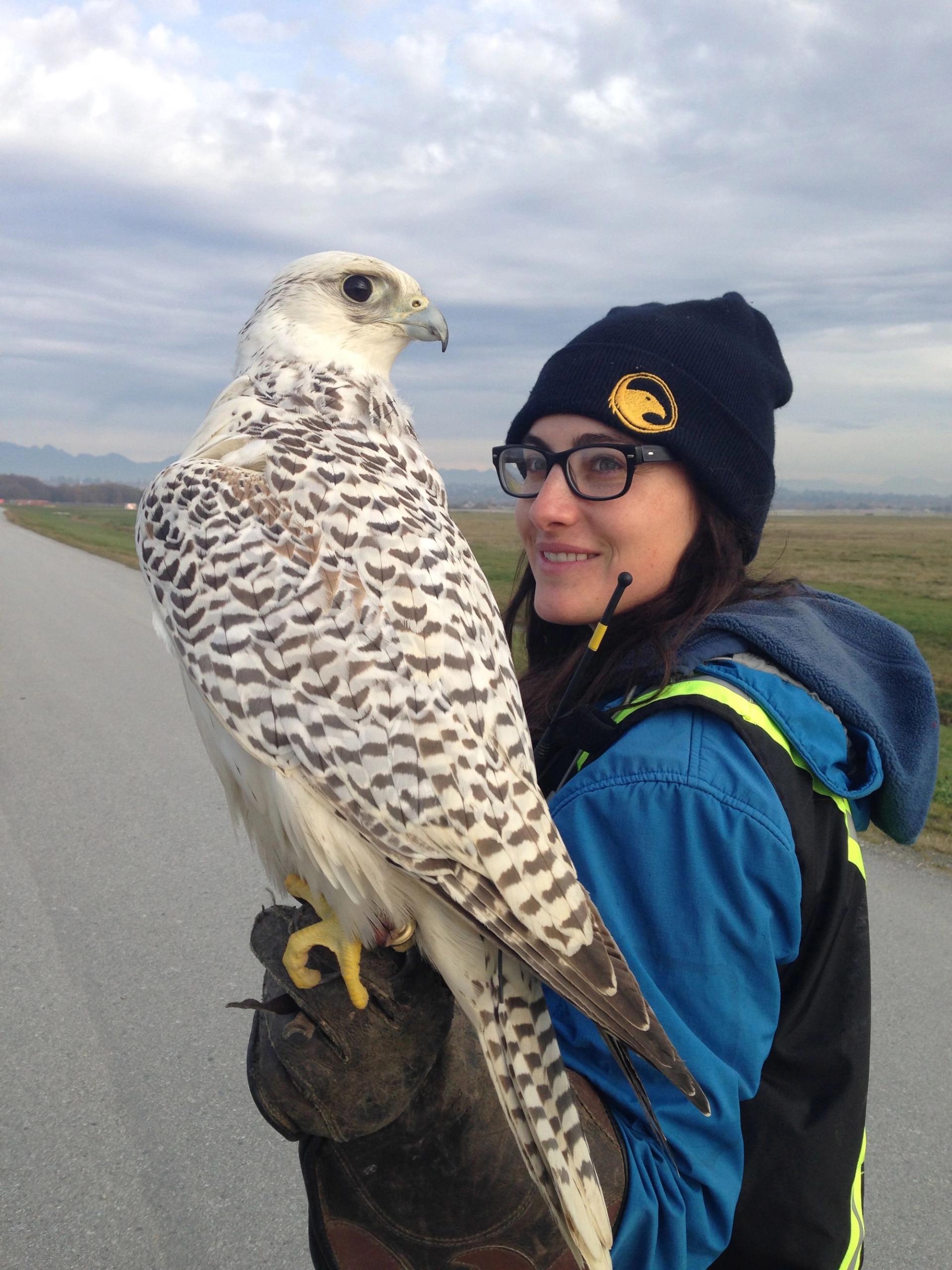 Wildlife Management | The Raptors