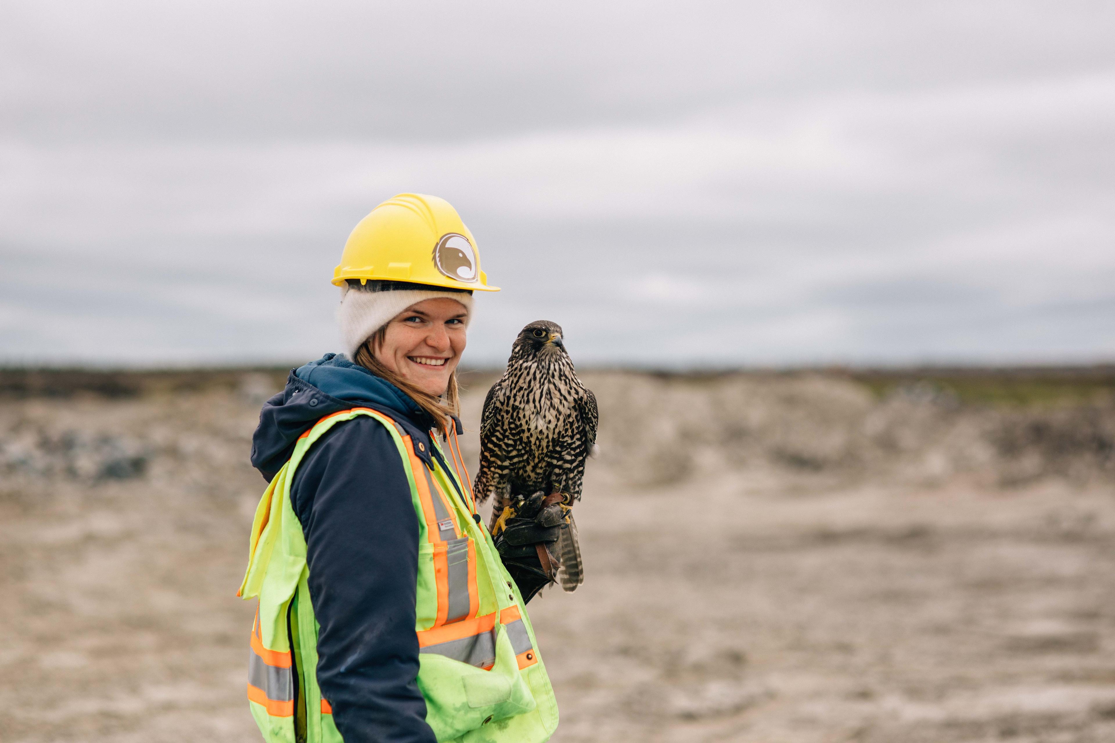 Raptors employee stands with a gyrfalcon on her glove