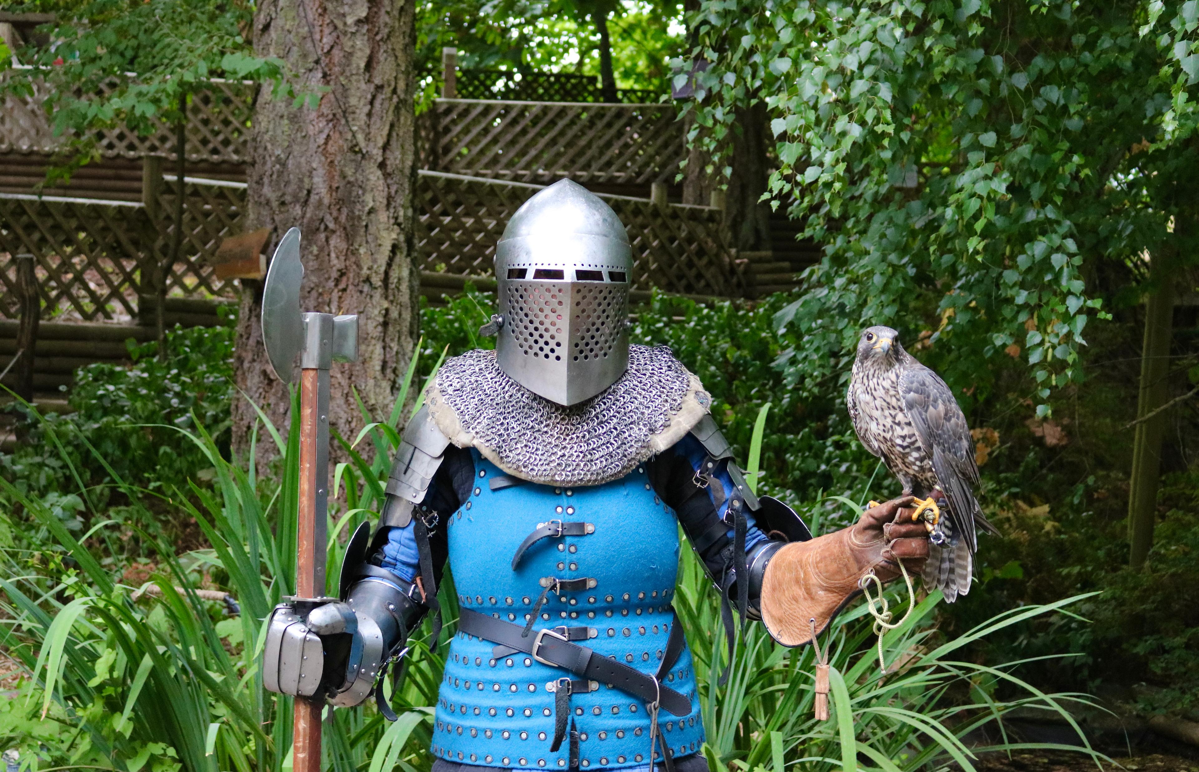 A woman in armor stands with a falcon on her wrist