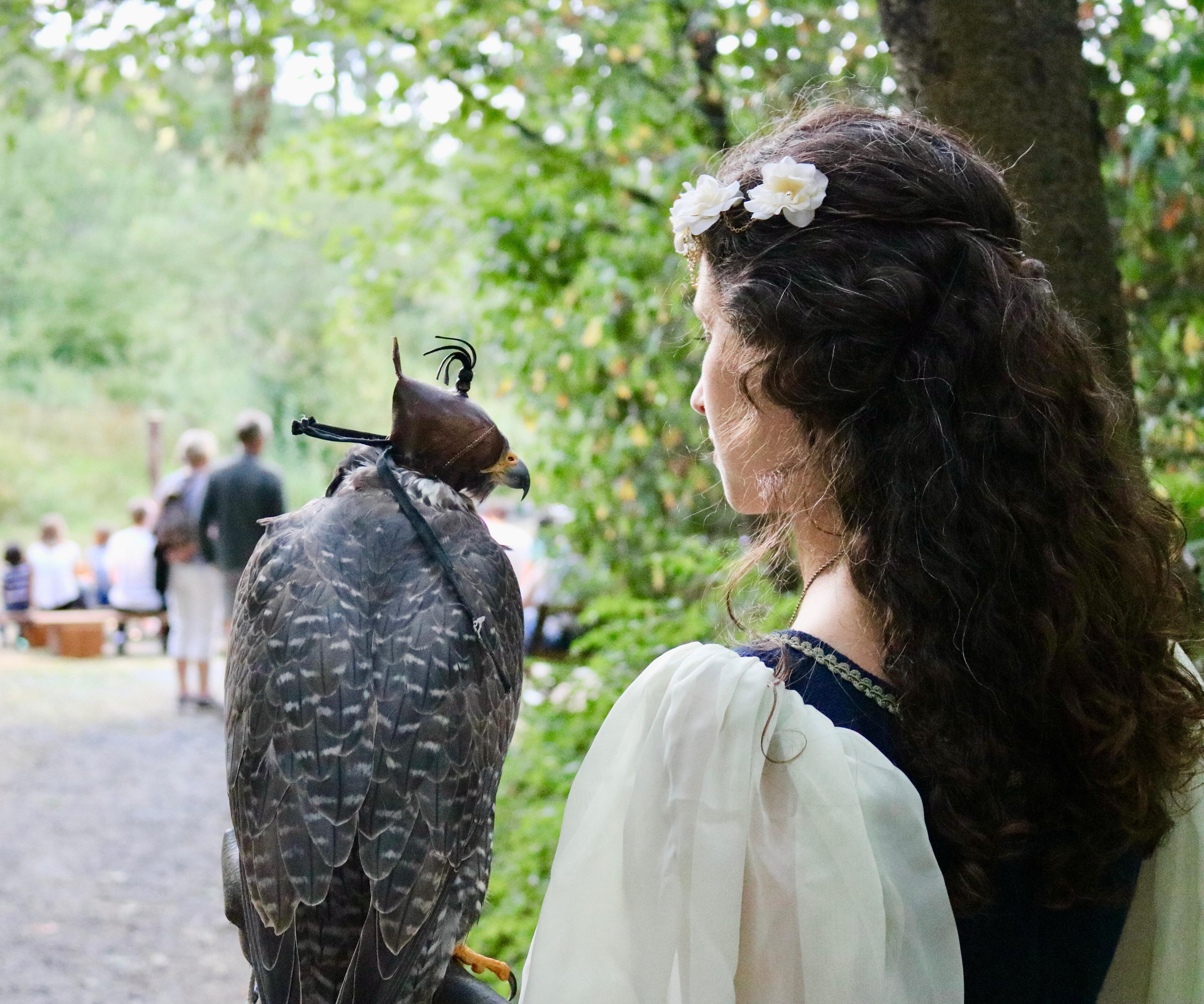 A woman in medieval clothing stands with a hooded falcon