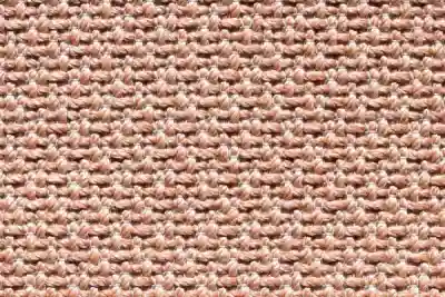 Image ofTemoris 02 variant