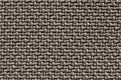 Image ofTemoris 07 variant