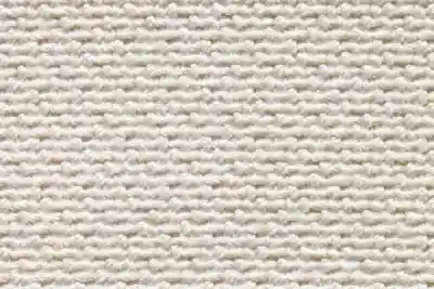 Image ofTemoris 04 variant