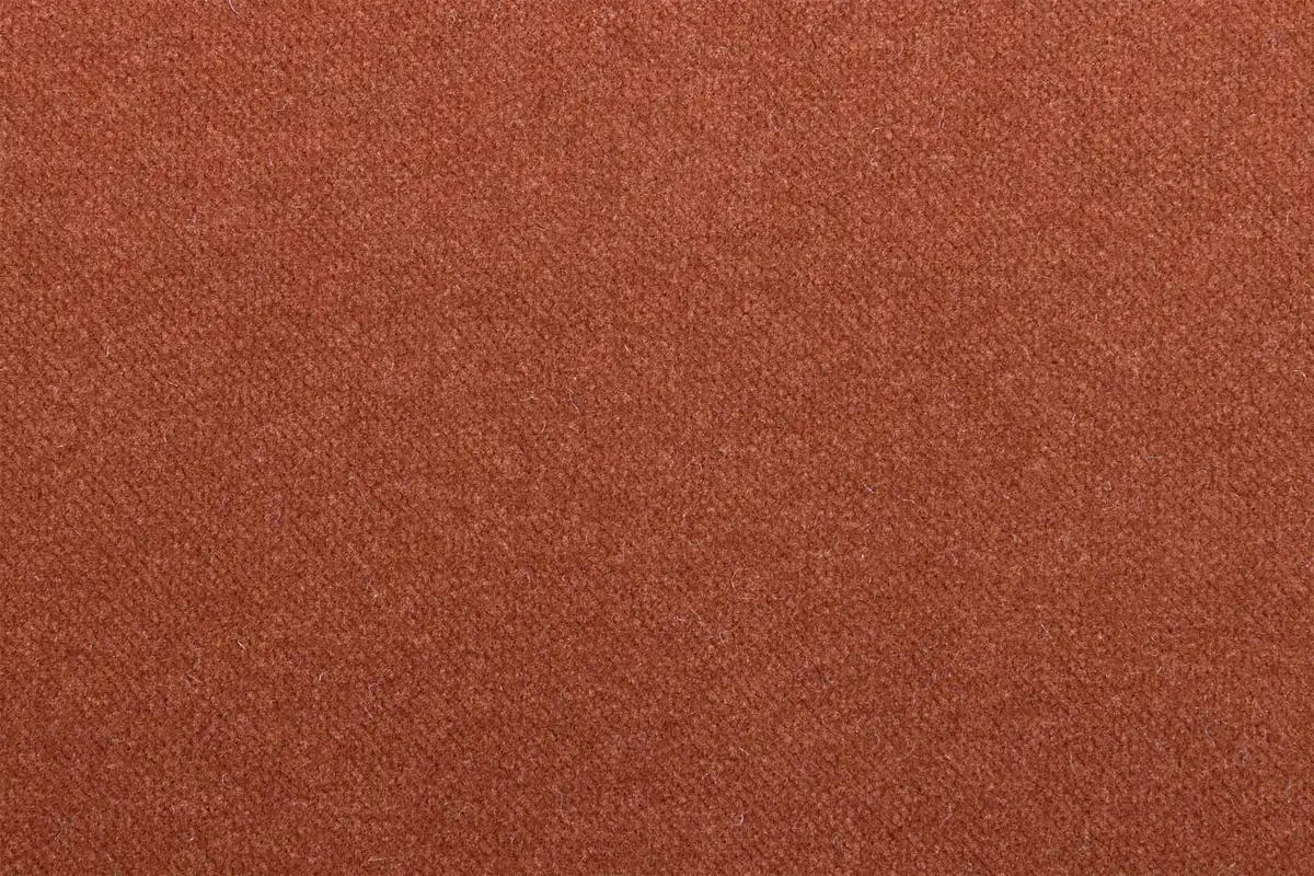 Image of AMII