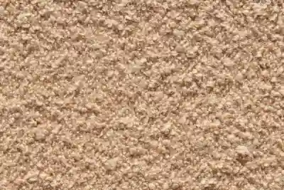 Image ofPiuma 11 variant