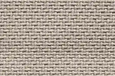 Image ofTemoris 05 variant