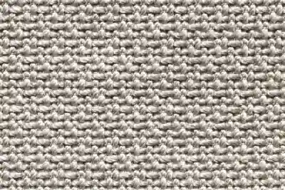 Image ofTemoris 08 variant