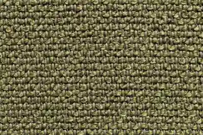 Image ofBuenavista 23 variant