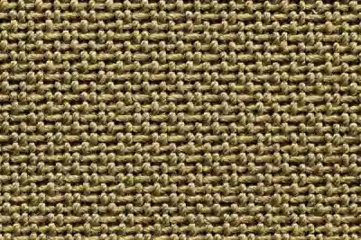 Image ofTemoris 10 variant