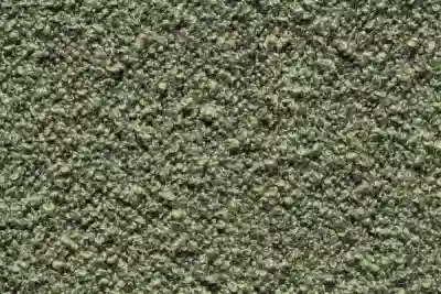 Image ofPiuma 16 variant