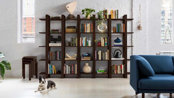 Image of decorated bookshelves with a dog and a sofa