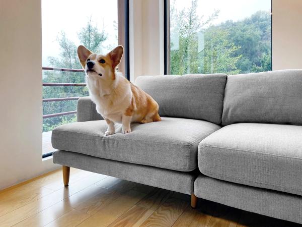 Ember sofa
