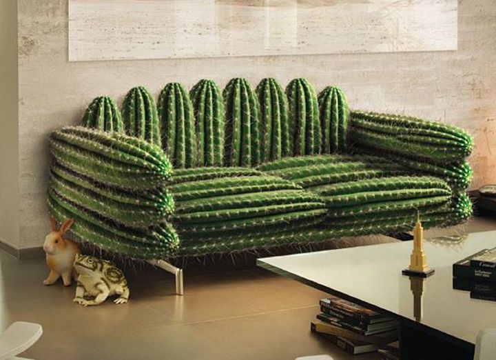 cactus sofa
