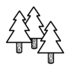 teak tree