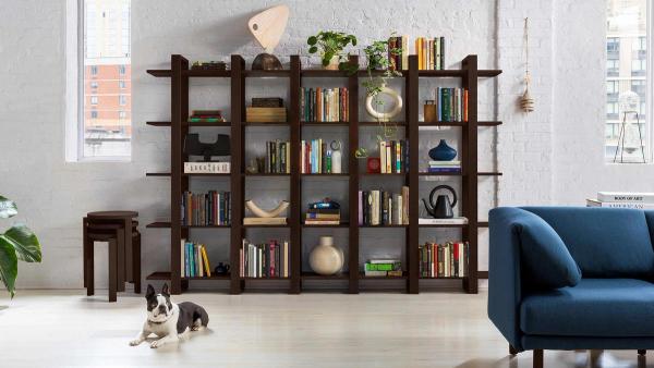 Image of decorated bookshelves with a dog and a sofa