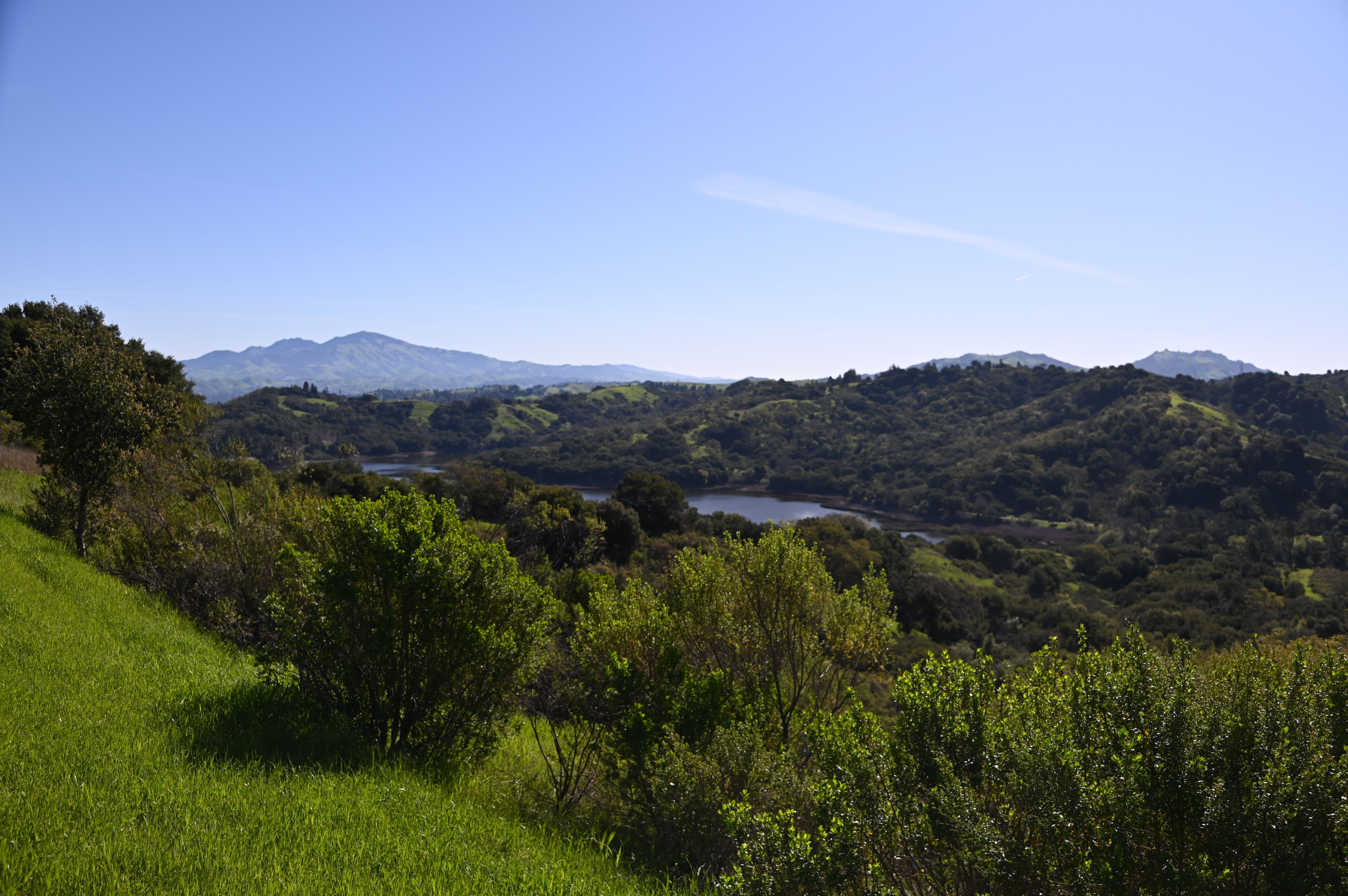 Missing alternative text