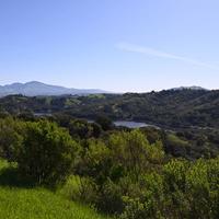 Missing alternative text