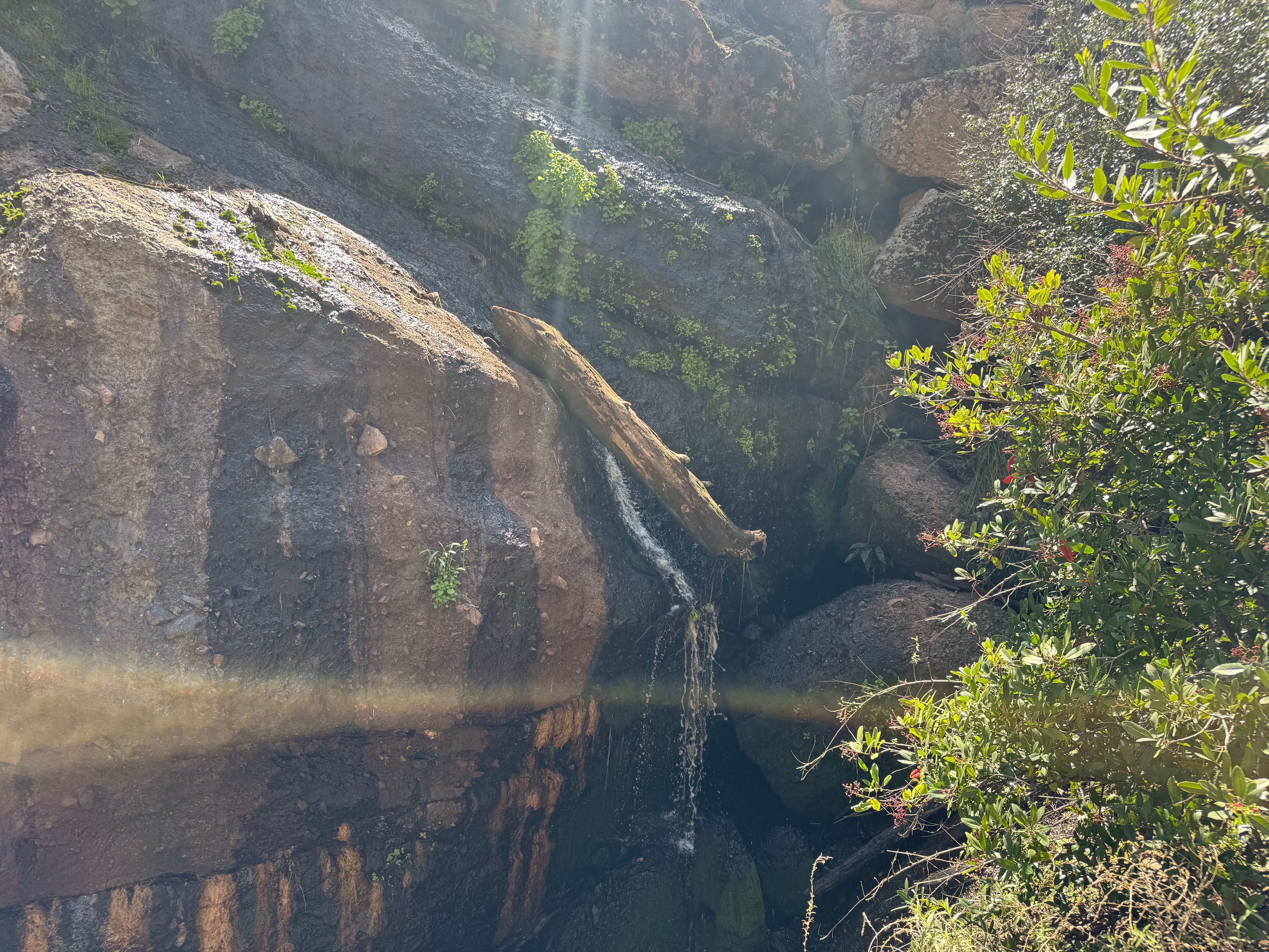 Missing alternative text