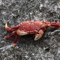 Missing alternative text