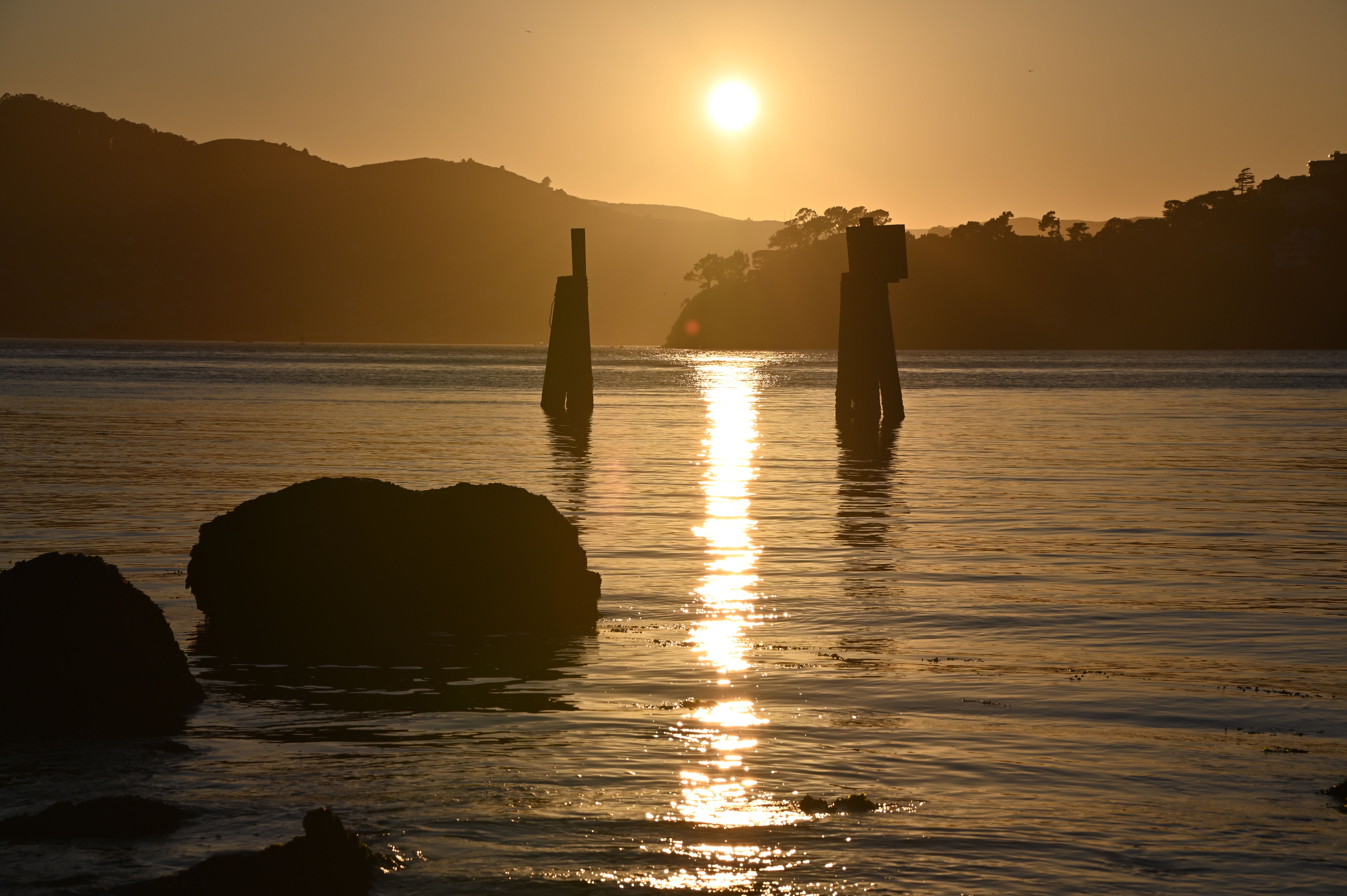 Missing alternative text