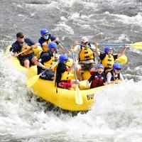 Missing alternative text