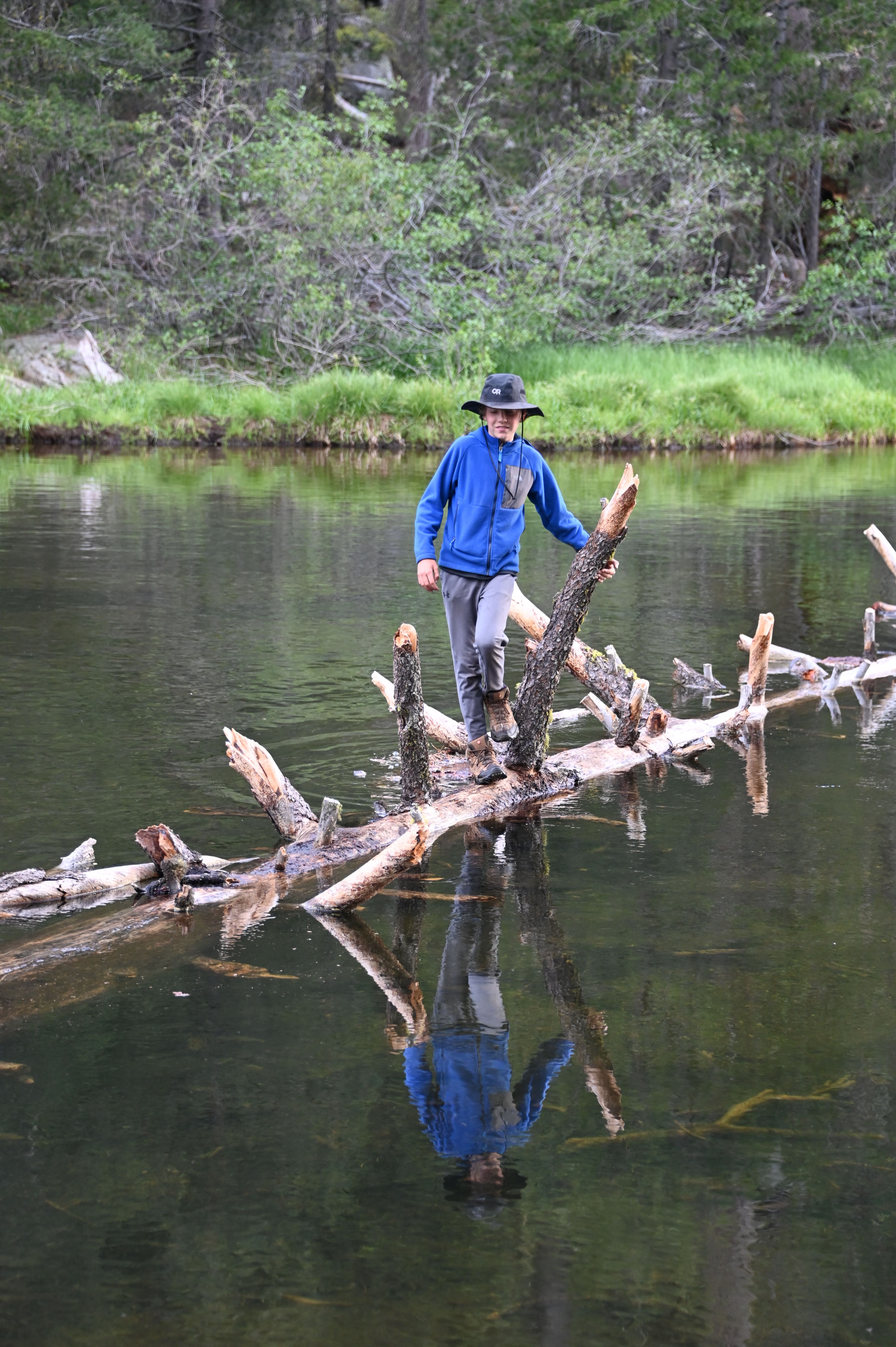 Missing alternative text