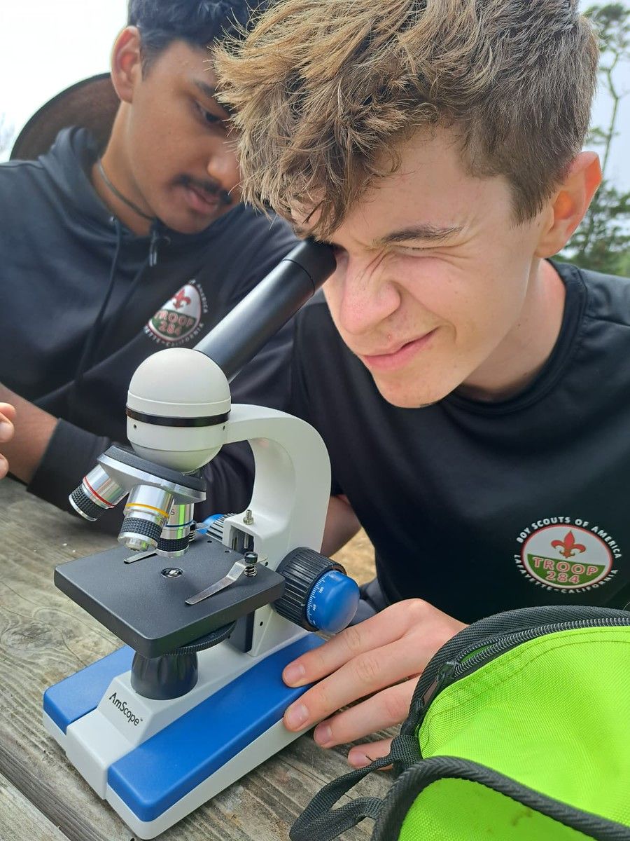 Missing alternative text