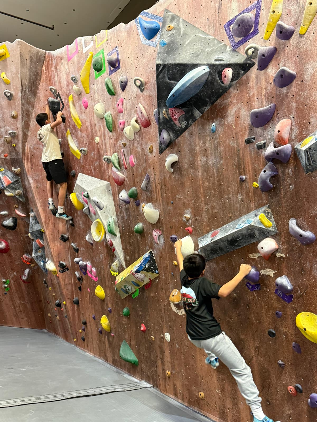 Missing alternative text