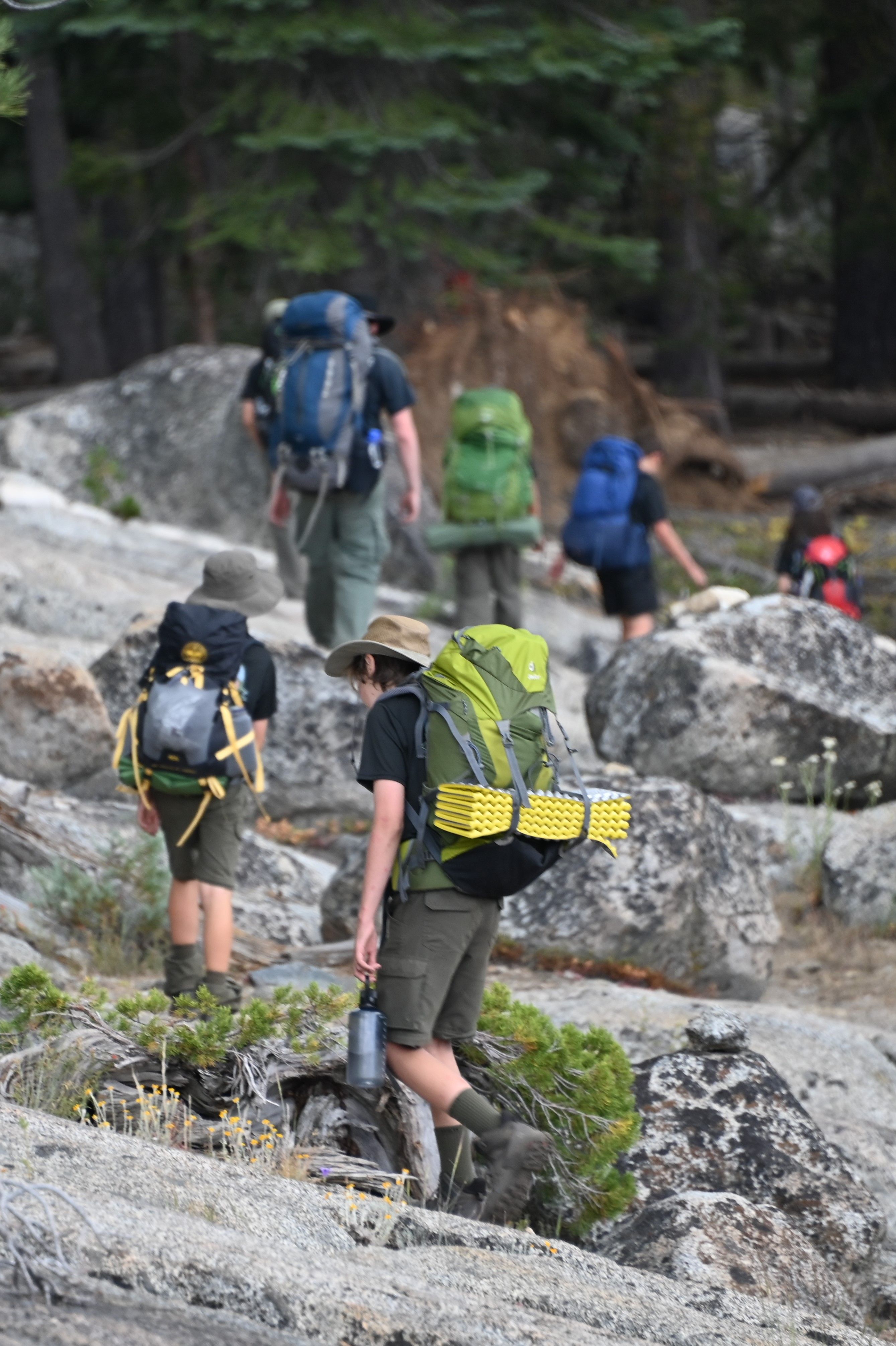 Missing alternative text