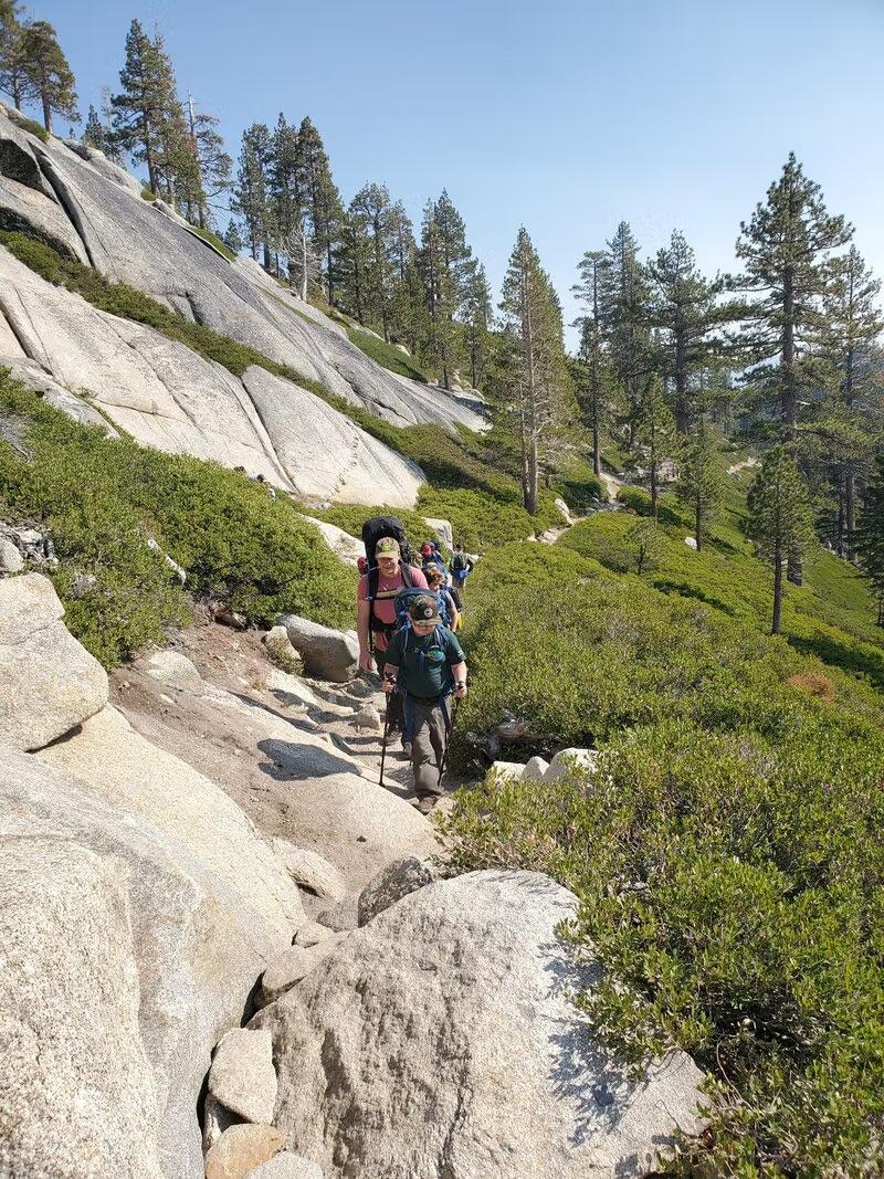 Missing alternative text