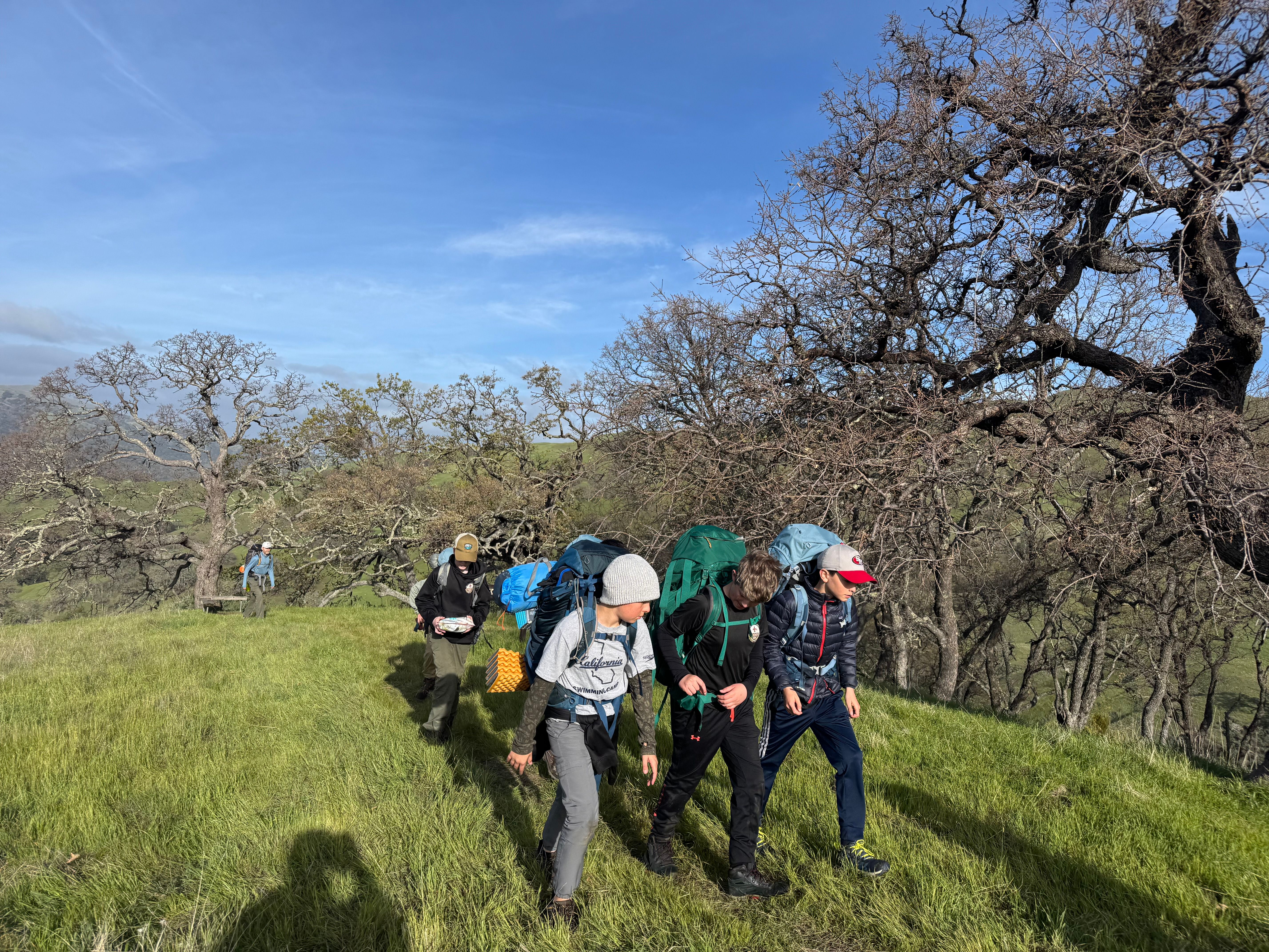 Missing alternative text