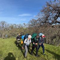 Missing alternative text