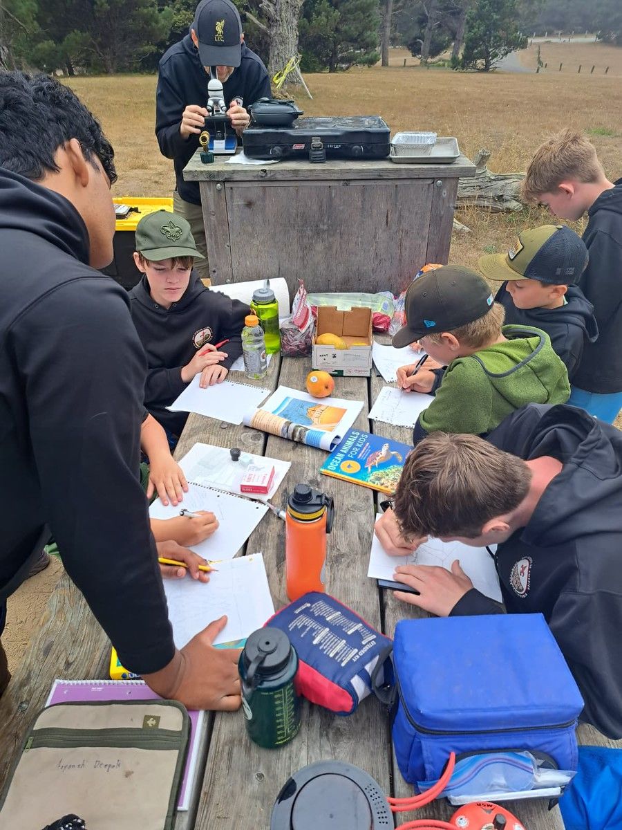 Missing alternative text