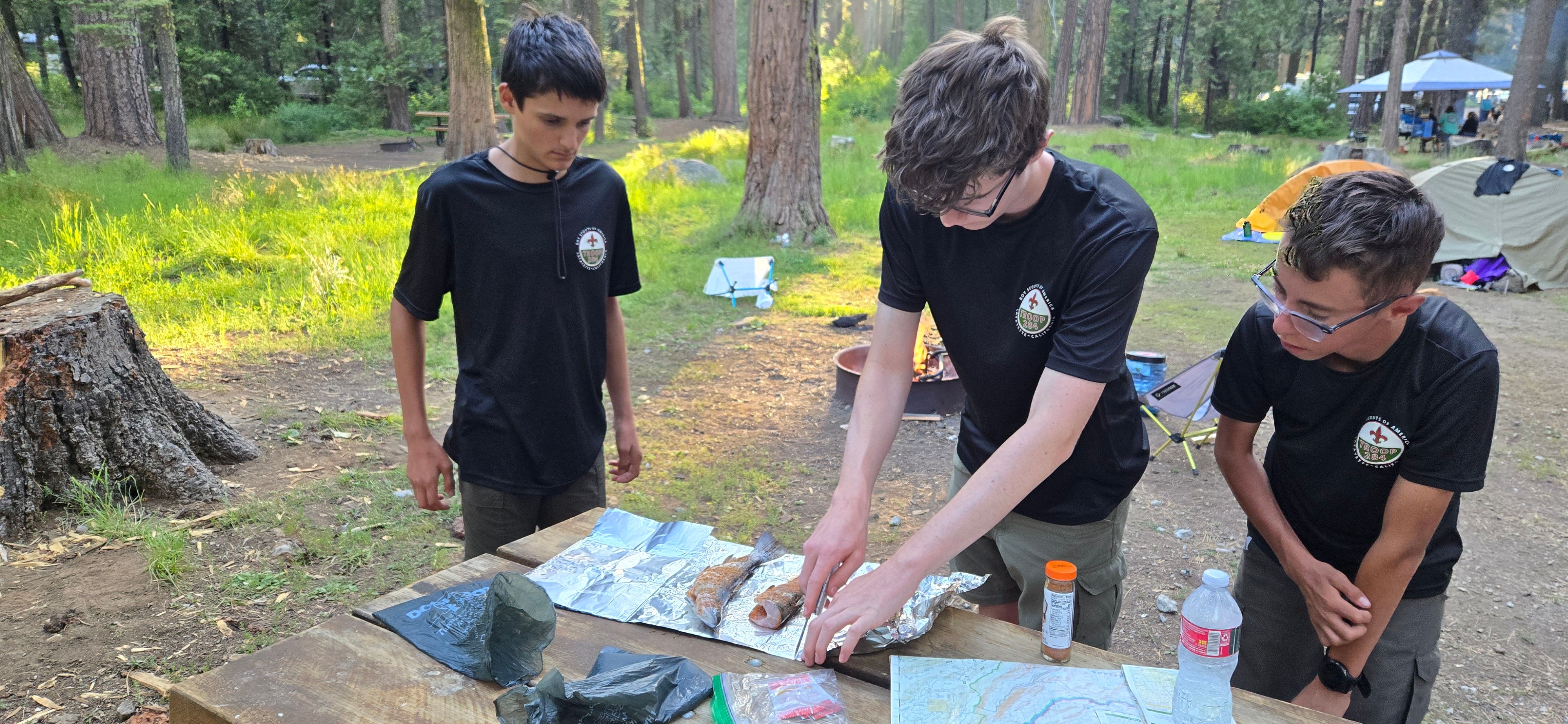 Missing alternative text