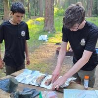 Missing alternative text