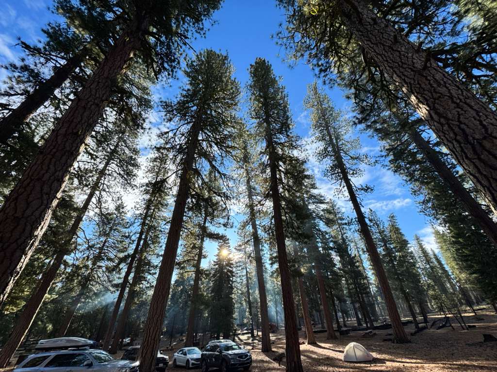 Missing alternative text