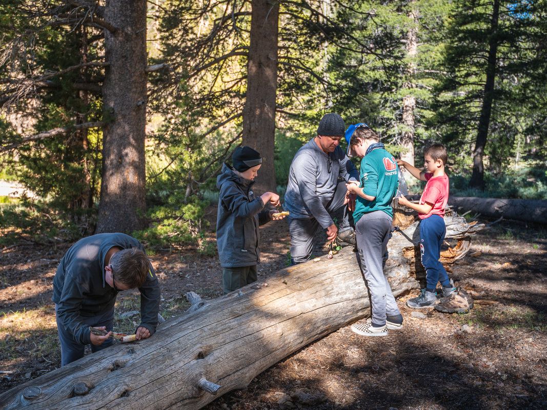 Missing alternative text