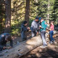 Missing alternative text