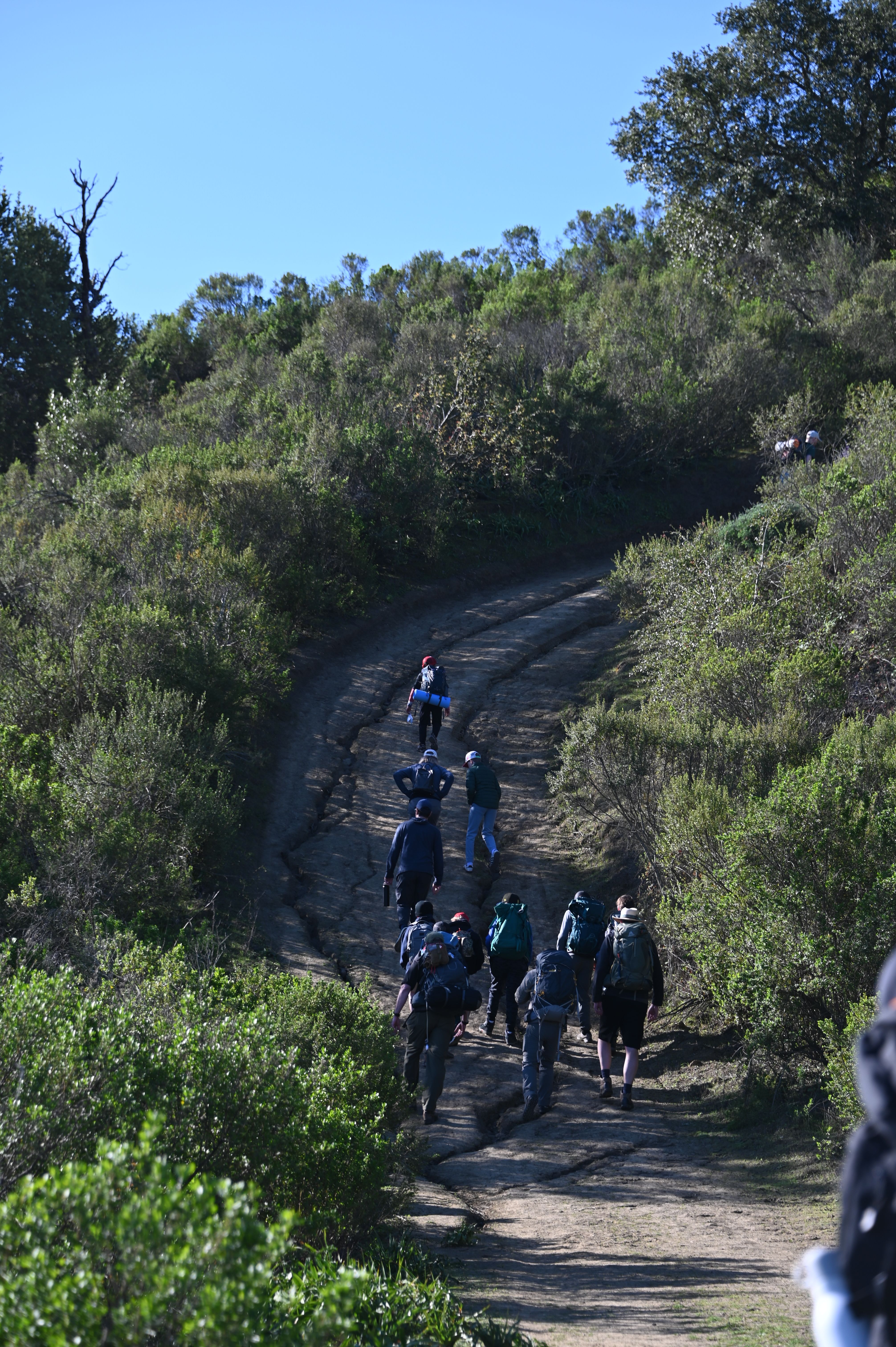 Missing alternative text