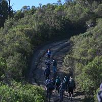 Missing alternative text