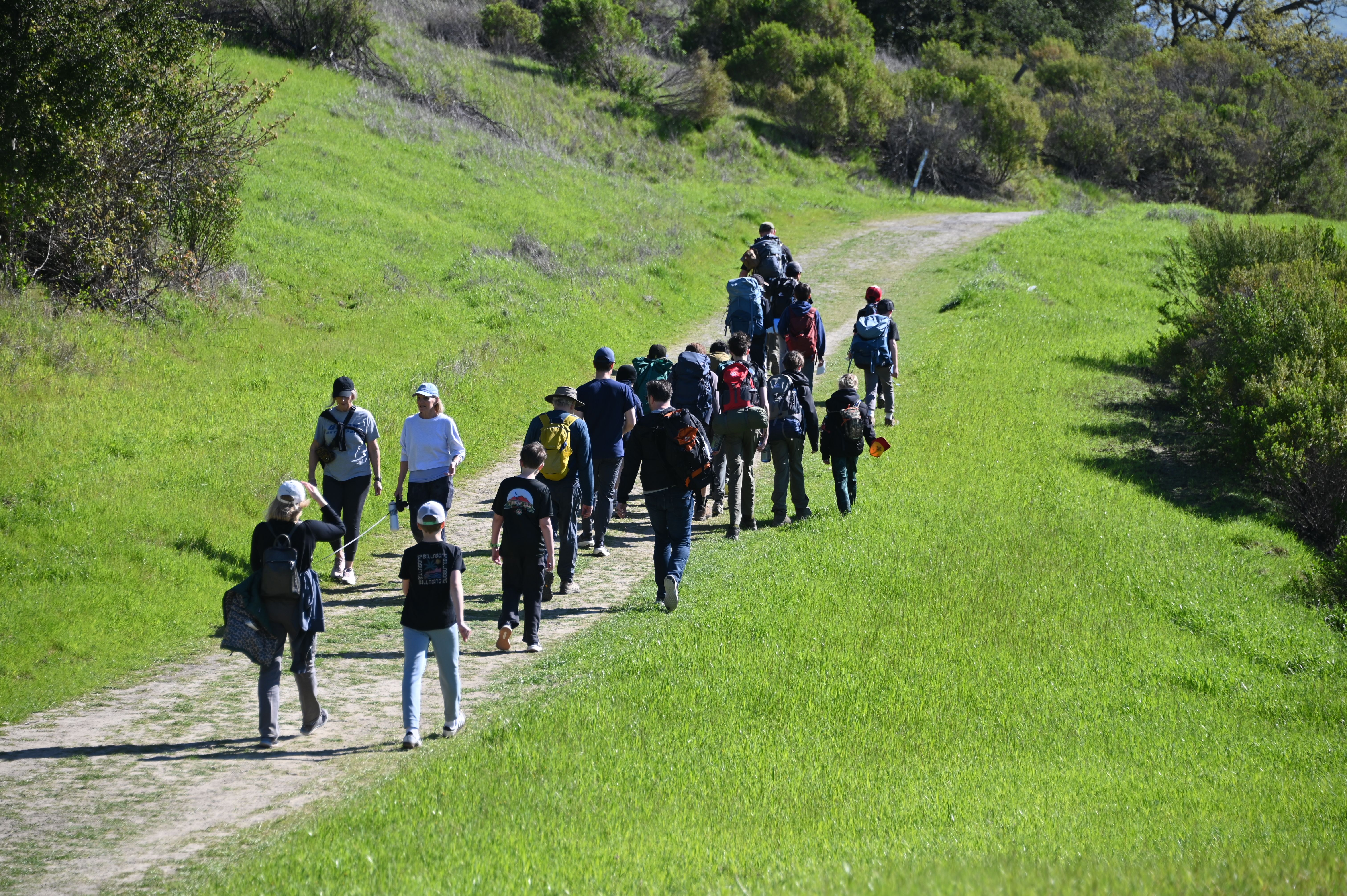 Missing alternative text