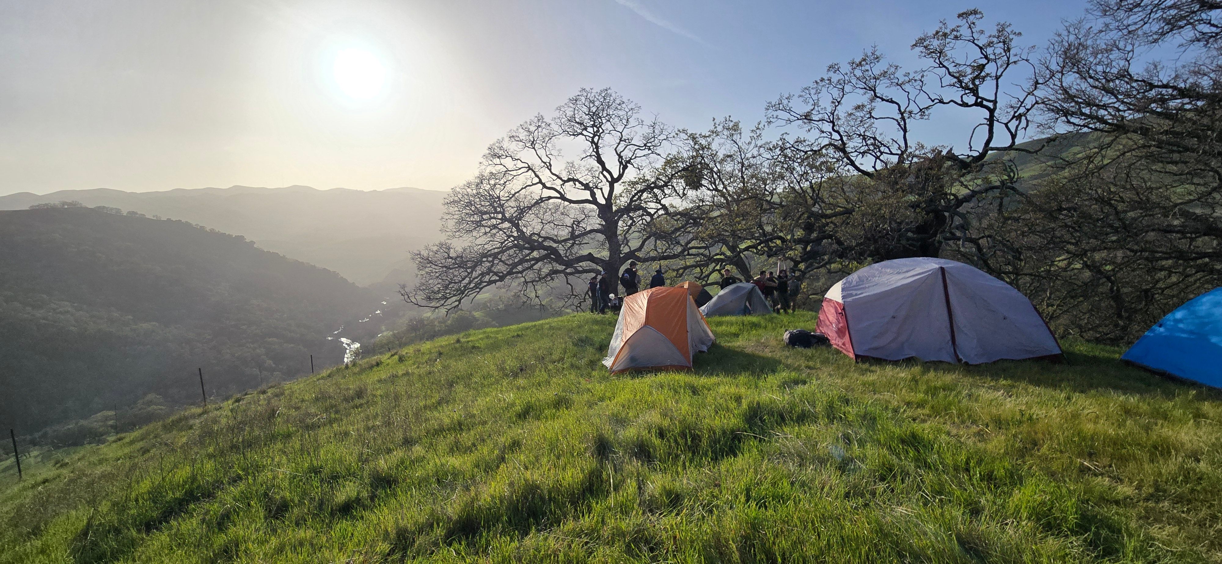 Missing alternative text