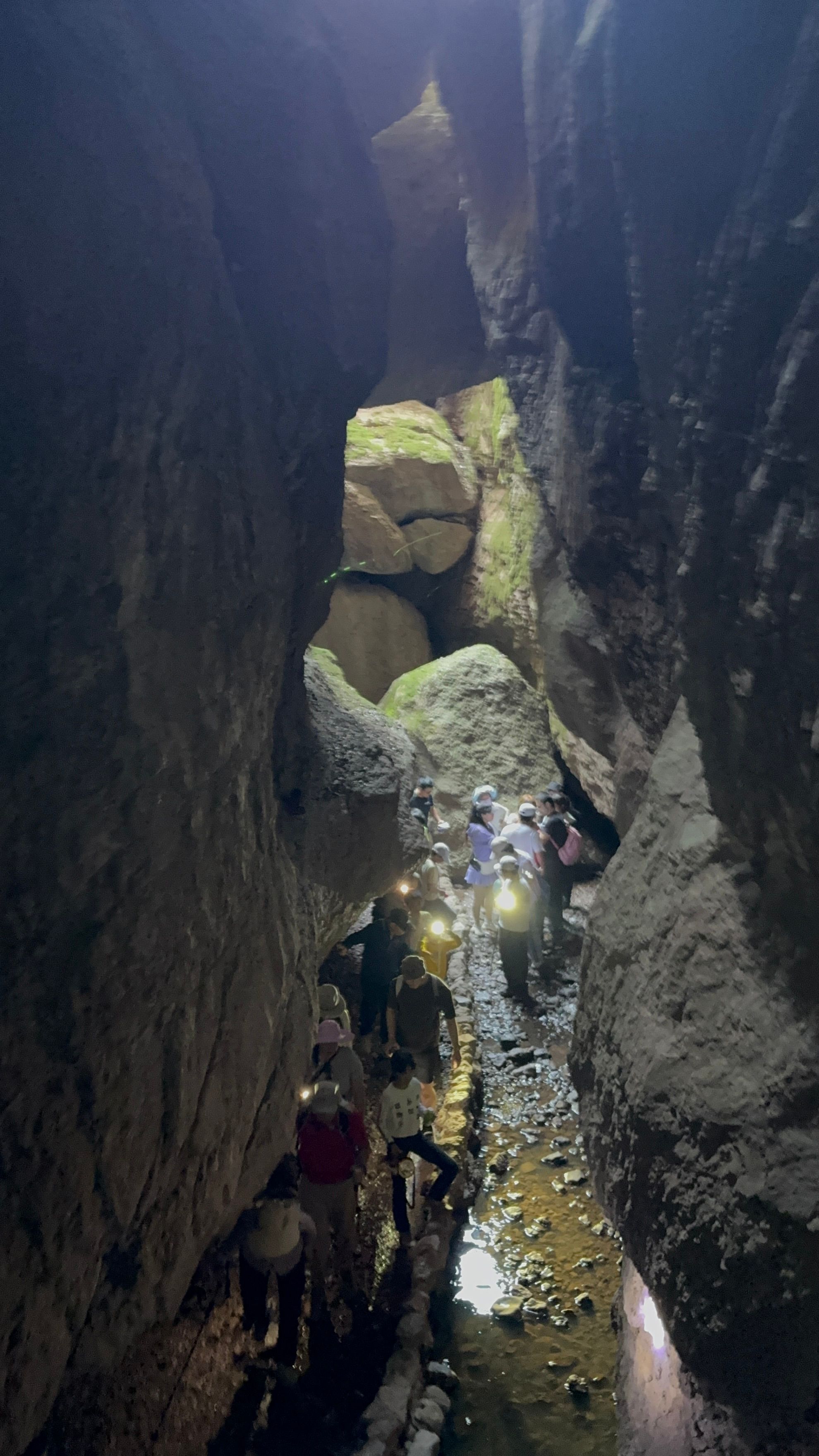 Missing alternative text