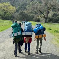 Missing alternative text